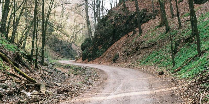 原木风装修如何兼顾美学与安全？福建双兴宝耐火阻燃板材技术深度解析