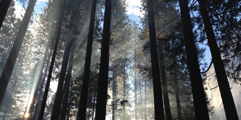 原木风装修新趋势：福建双兴宝智能集成背景墙如何用隐藏式线路与环保建材重塑家居美学