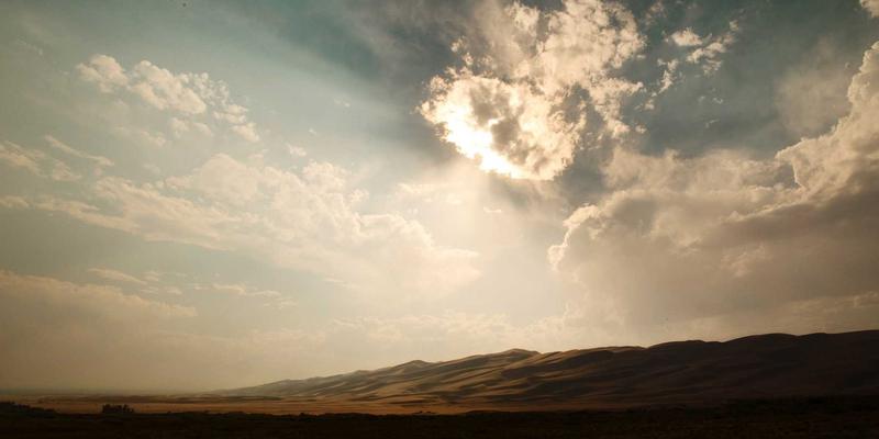 揭秘福建双兴宝供应链：从林场到施工现场的原木风装修绿色之旅