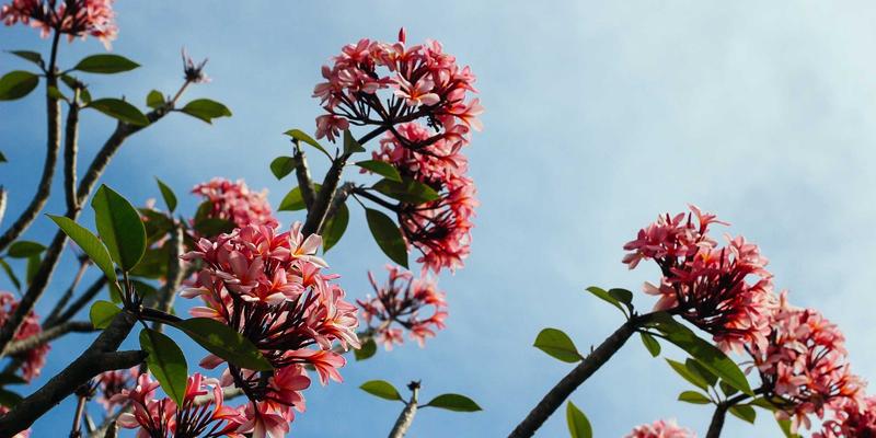 福建双兴宝58：室内装饰与建材供应的一站式解决方案