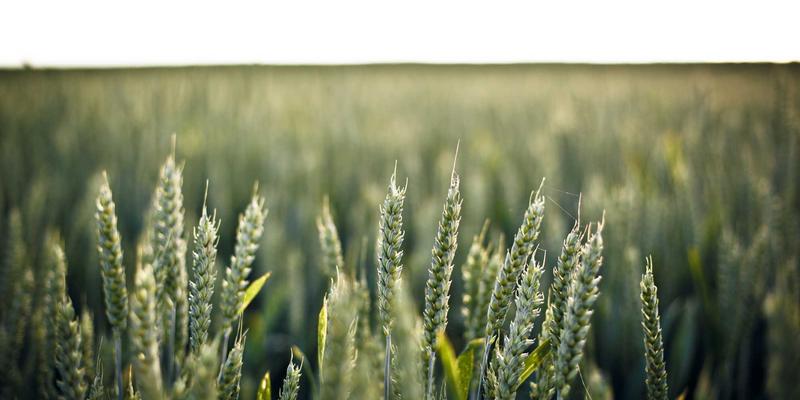 福建双兴宝83：以环保建材打造原木风家居，诠释自然美学与健康生活