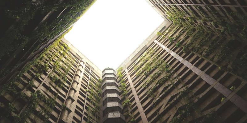 福建双兴宝产品线全解析：打造原木风装修的建材供应专家