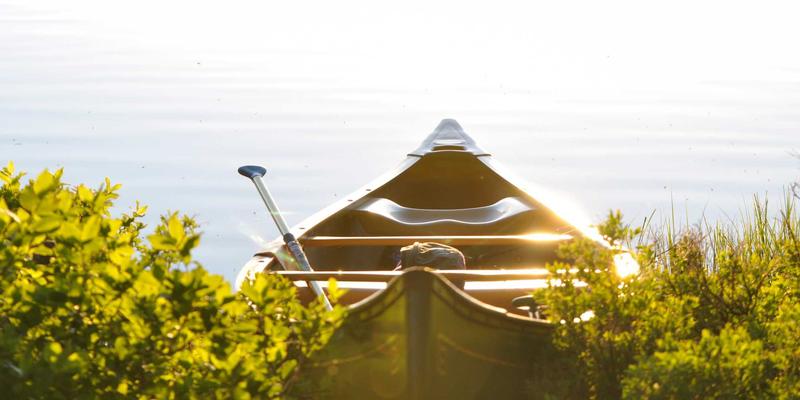 福建双兴宝全攻略:装饰工程如何优选环保建材与高效供应链