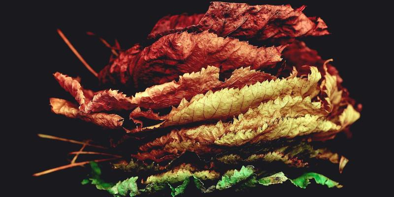 福建双兴宝声学设计与材料搭配全案解析：打造沉浸式家庭影院的关键