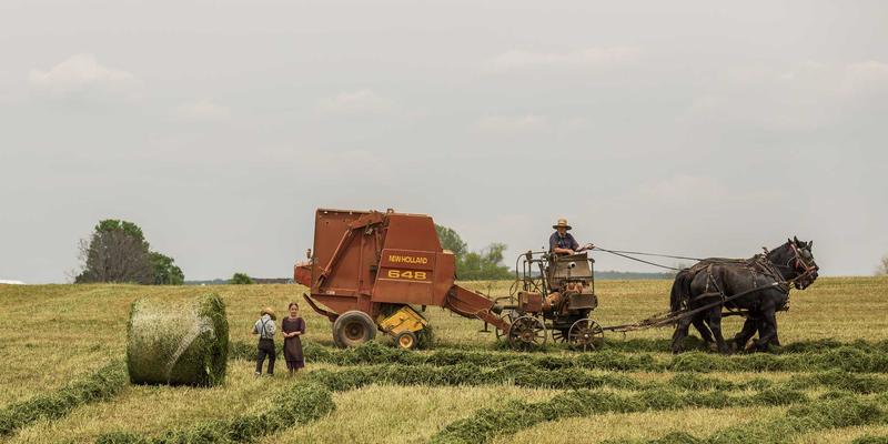 福建双兴宝怎么用?解锁原木风装修的施工与搭配精髓