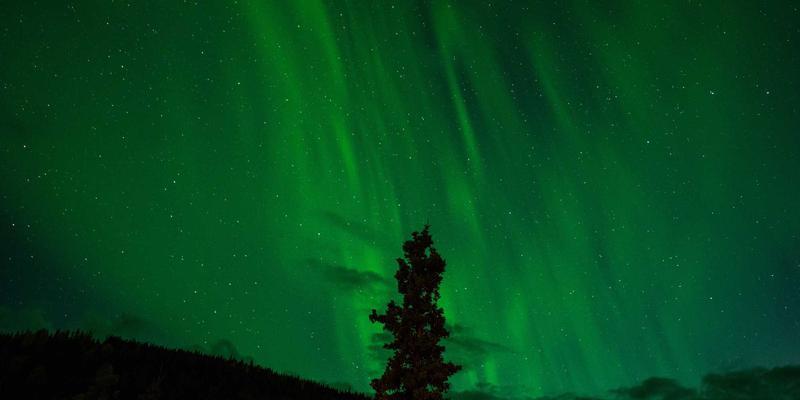 福建双兴宝石材复合技术：如何以环保建材打造现代原木风装修的轻量化解决方案