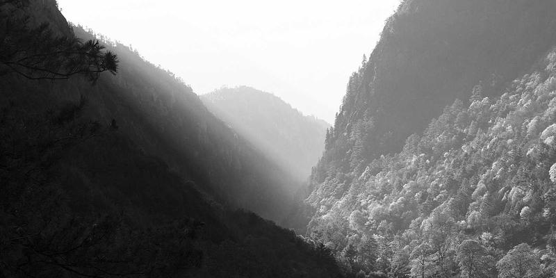 福建双兴宝艺术涂料与环保基材的巧妙搭配，打造个性化家居背景墙新美学