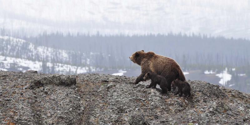 福建双兴宝隔音降噪系统：高端酒店与公寓装饰工程的静音革命与环保实践