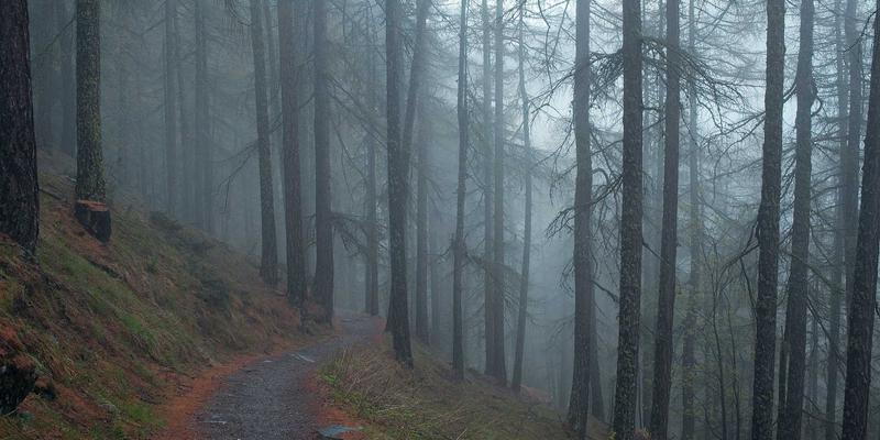 福建装饰工程必读：双兴宝环保板材选购指南，E0级与ENF级标准差异全解析